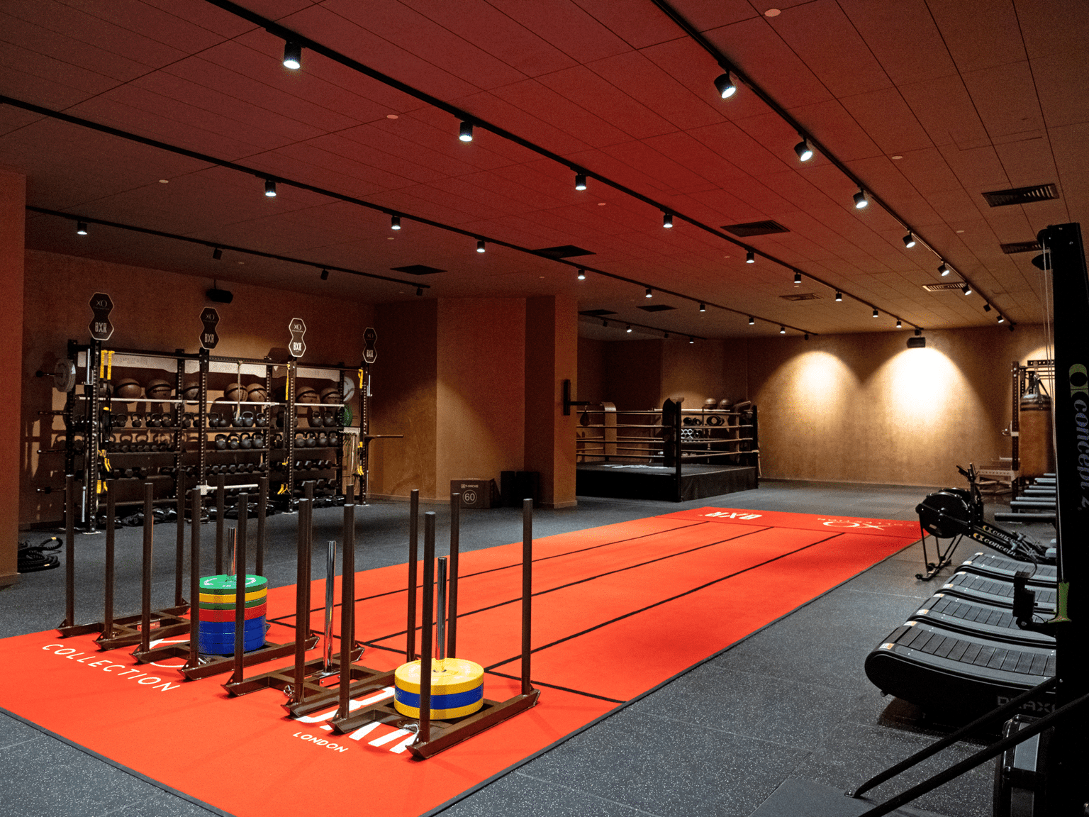 The GYM
